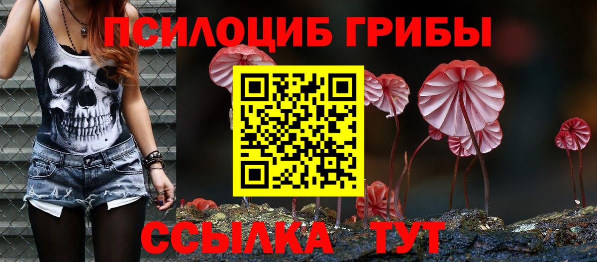 Псилоцибиновые грибы MAGIC MUSHROOMS  Псилоцибиновые грибы прущие грибы  Вход с VPN  Керчь 